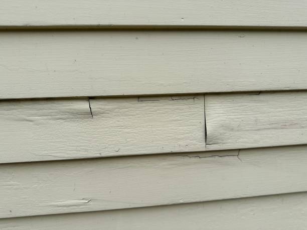 Best Custom Siding Design  in Othello, WA